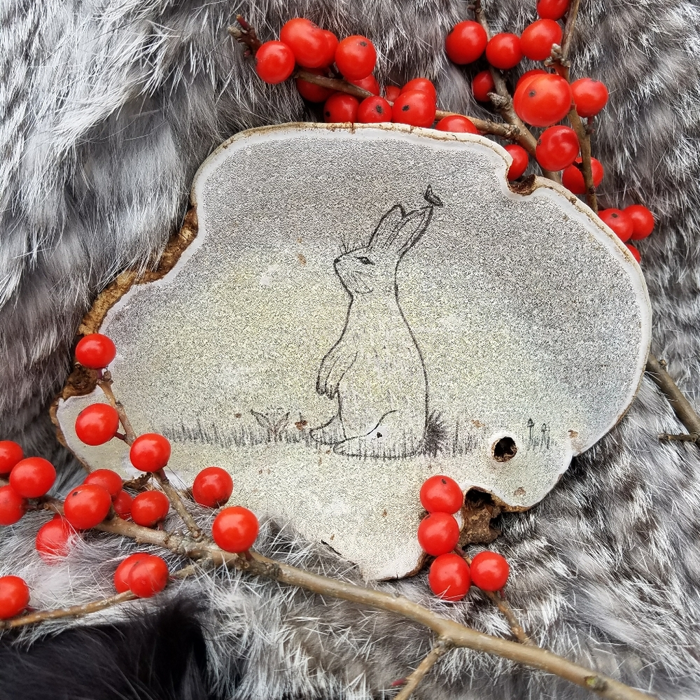 Tubby Rabbit - Hand Drawn On Bracket Fungus